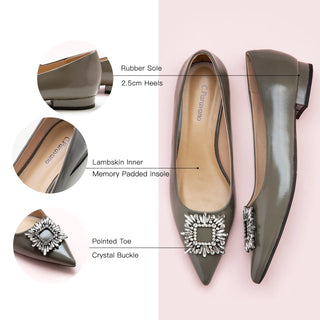 Crystal Buckle Flats (Aida)