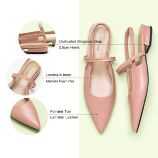 Pointed Toe Slingback Flats (Freya)